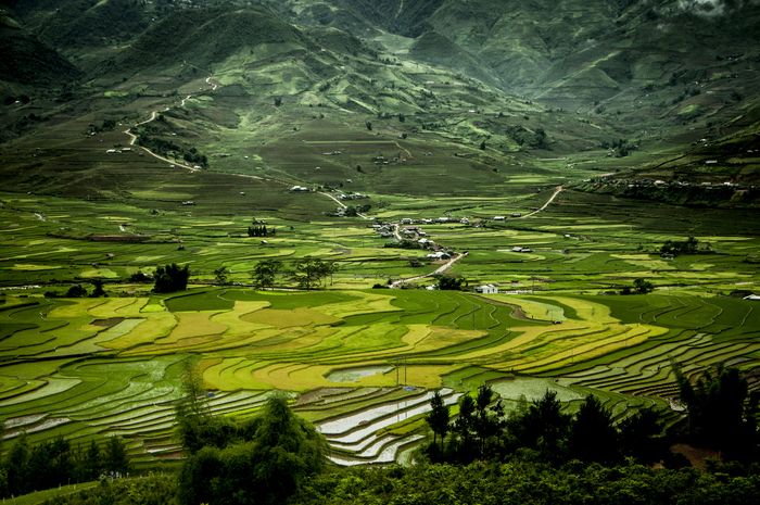 Một lần ghé thăm bản Lìm Mông - Lìm Thái giữa lưng trời 2 83124 ban lim mong 1 700x465 1