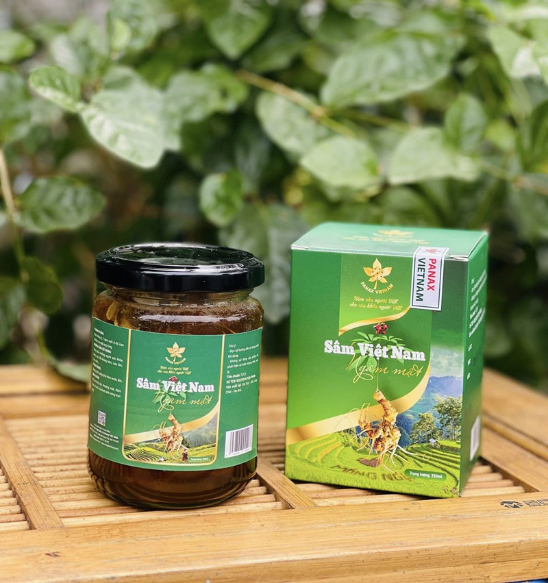 Nhân Sâm Trường Bạch 11 sâm việt nam ngâm mật ong rừng