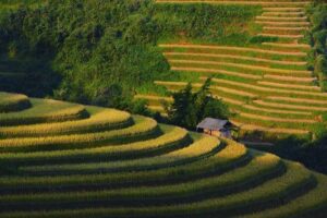 kham pha xa la pan tan 15