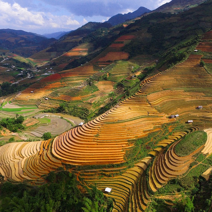 kinh nghiem di xa che cu nha 12