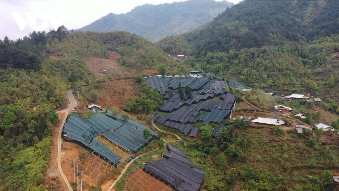 z5869014606389 afd249af8377e02a3df8b83fd35f2ceb