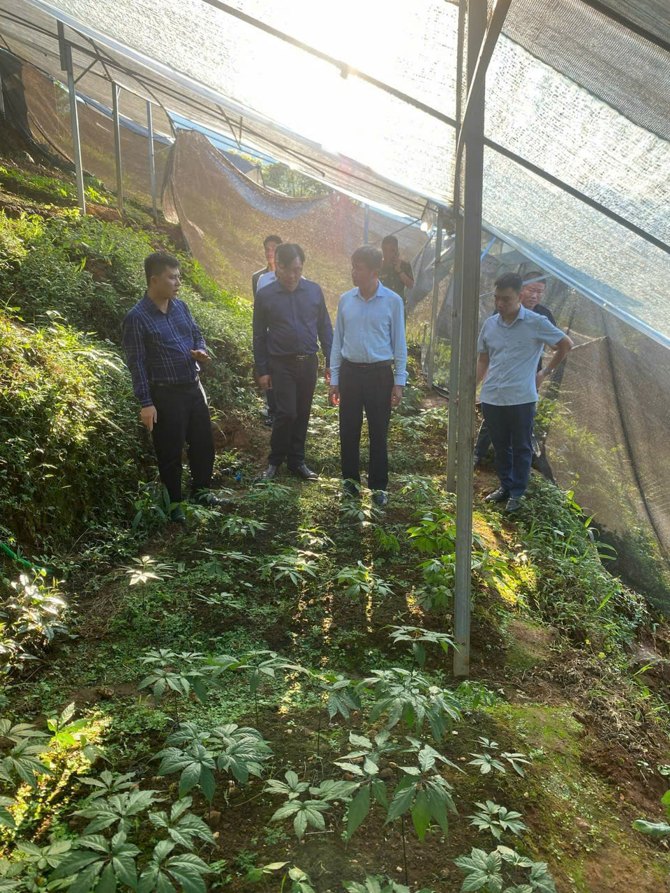 z5869509985552 76d5e9904b55b20bc09c641a6d9611d7