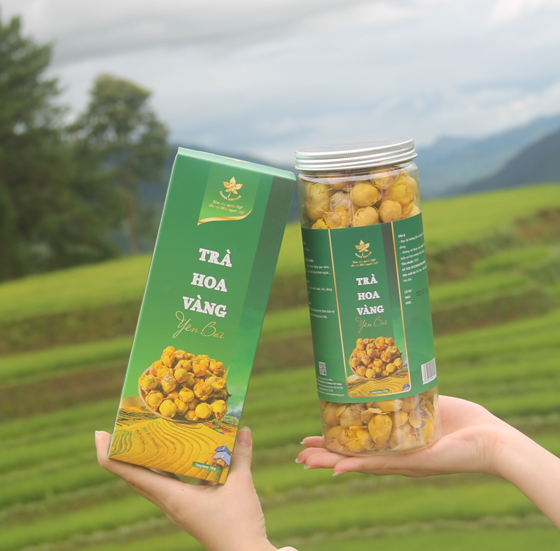 Trà Hoa Vàng 6 Trà hoa vàng yên bái
