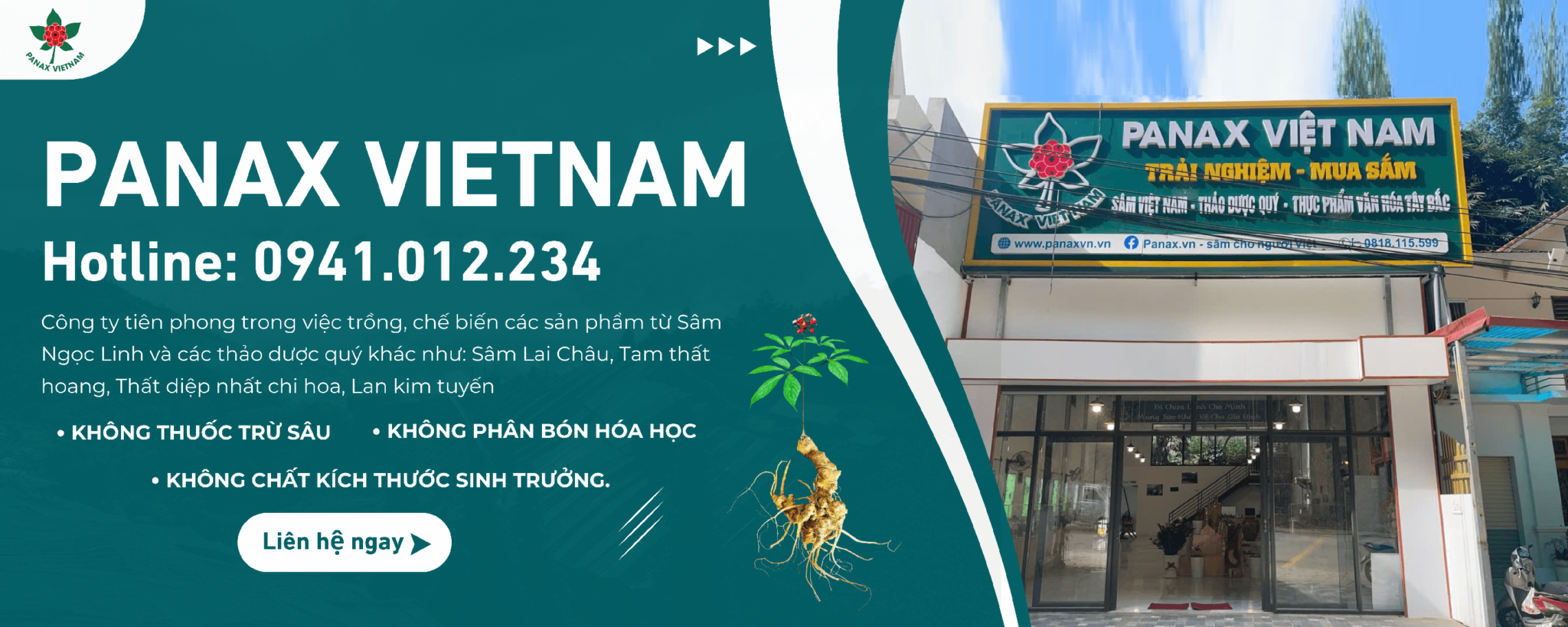 Mua ba kích tím Quảng Ninh ở đâu giá rẻ, chất lượng tốt? 4 Gợi ý địa chỉ mua ba kích tím Quảng Ninh uy tín hàng đầu