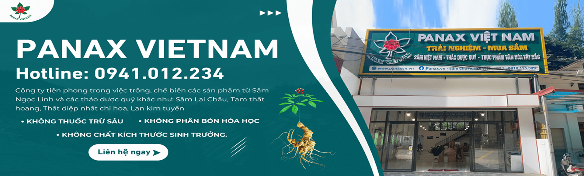 Banner Sâm Ngọc Linh