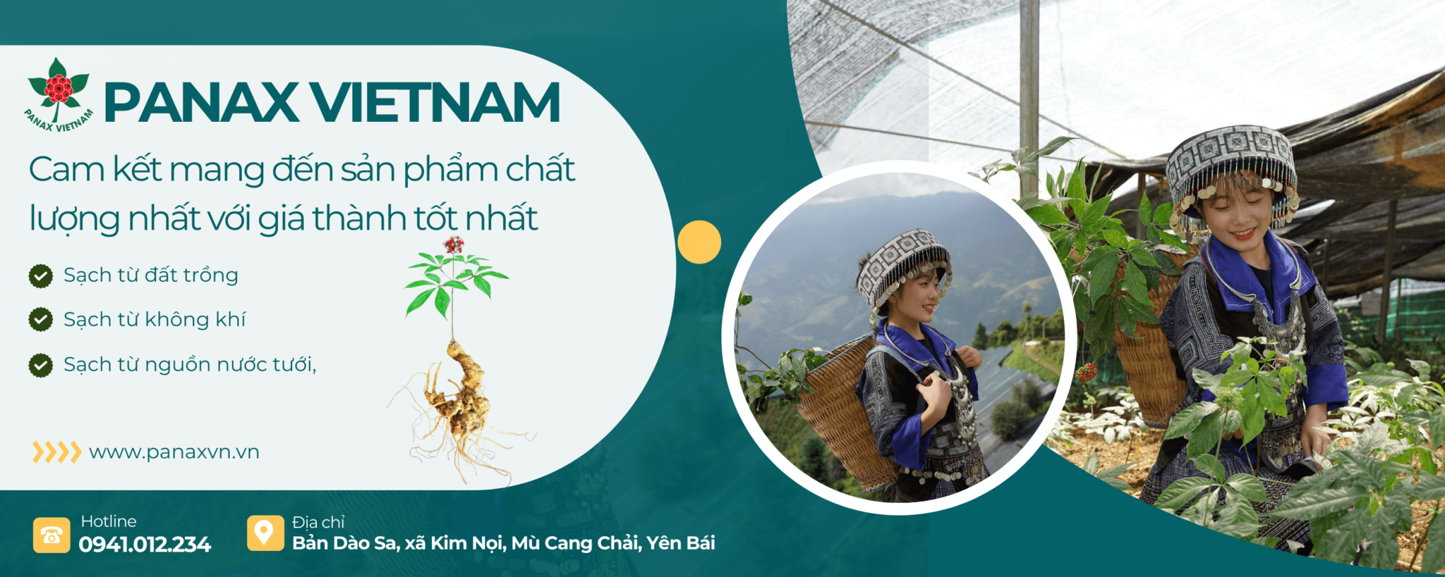 Địa chỉ nào bán củ ba kích uy tín nhất hiện nay?