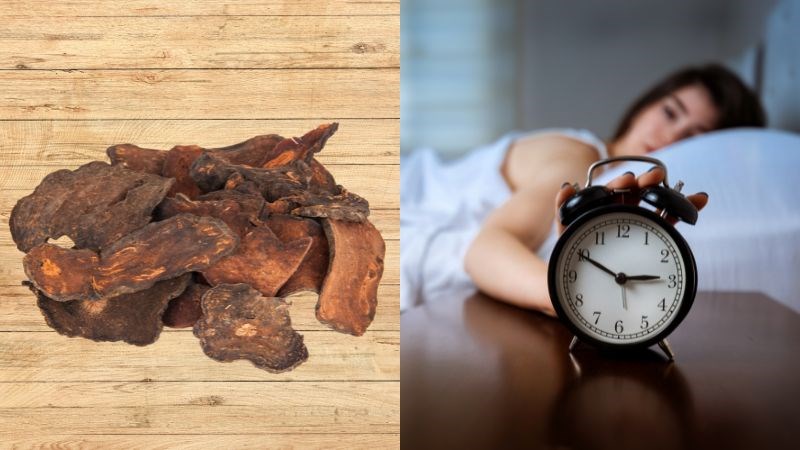 Củ hà thủ ô tốt cho hệ thần kinh