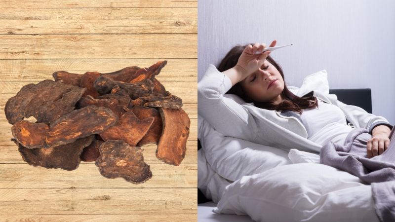 Tác dụng của hà thủ ô khô