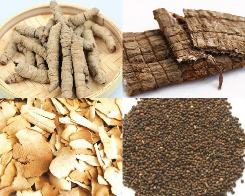 Cách sử dụng ba kích giúp tối ưu hóa lợi ích