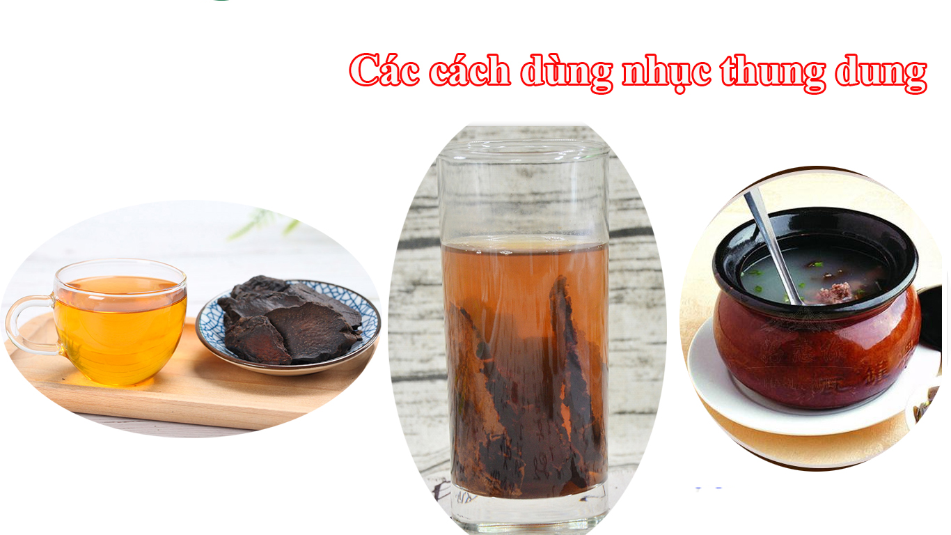 Hướng dẫn chi tiết cách sử dụng nhục thung dung hiệu quả