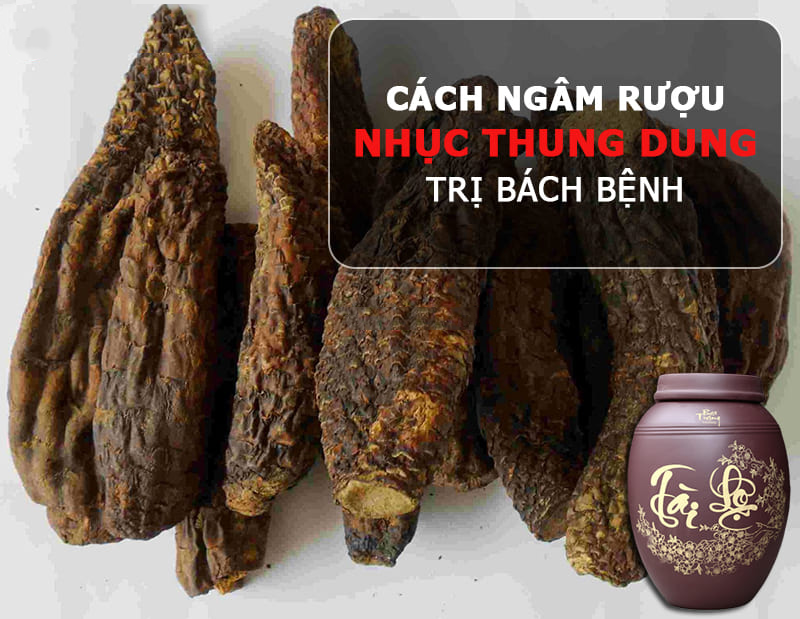 Cách sử dụng nhục thung dung 