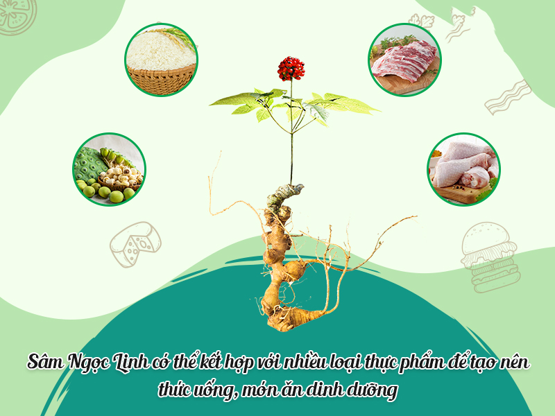 Cách sử dụng sâm ngọc linh