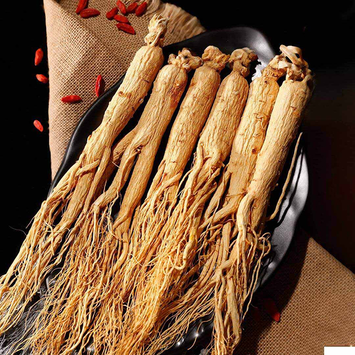 Giá Sâm Trường Bạch phụ thuộc vào những yếu tố nào?