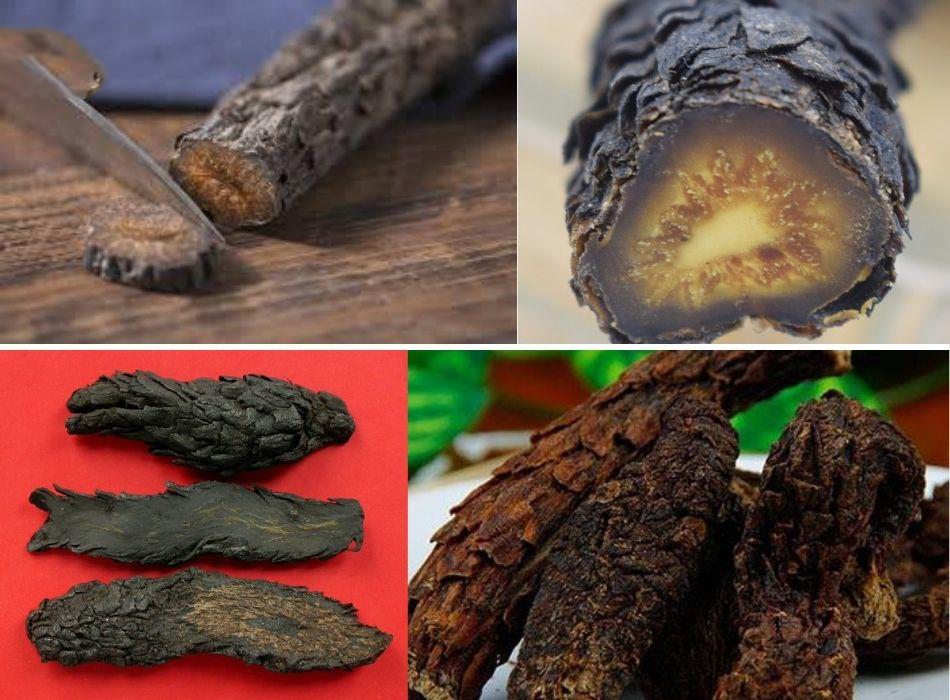 Địa chỉ mua nhục thung dung khô uy tín, tin cậy