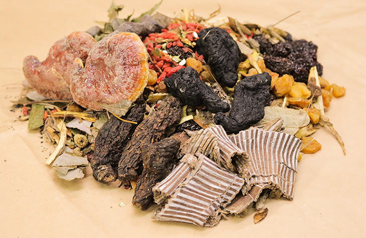 Các bài thuốc phát huy tốt nhất tác dụng của nhục thung dung