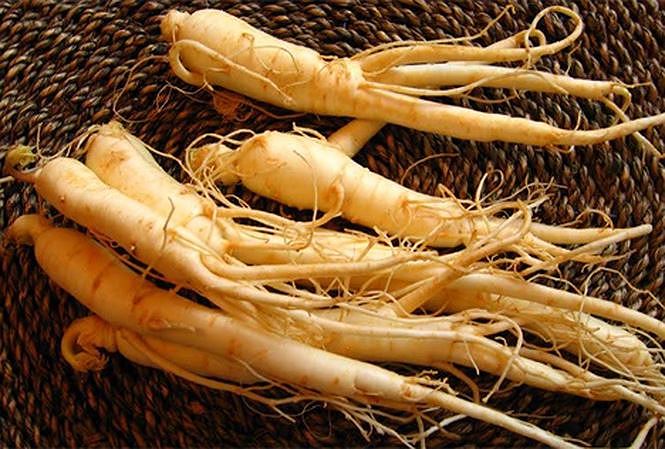 Địa chỉ mua Sâm Ngọc Linh uy tín, chất lượng cao