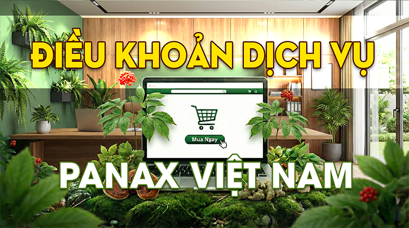 Điều khoản dịch vụ