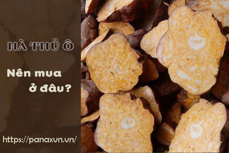 Địa chỉ nào bán hà thủ ô khô chất lượng, giá rẻ?