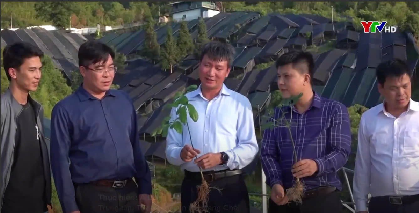 Công ty Cổ Phần Panax Việt Nam tiếp đón Chủ tịch UBND tỉnh Yên Bái