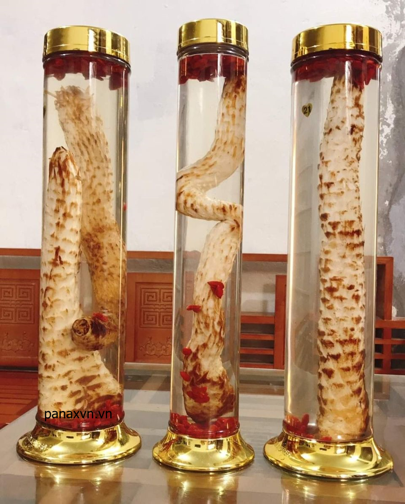 bình nhục thung dung