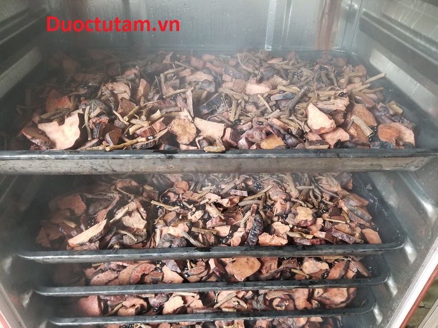 hấp hà thủ ô đỏ