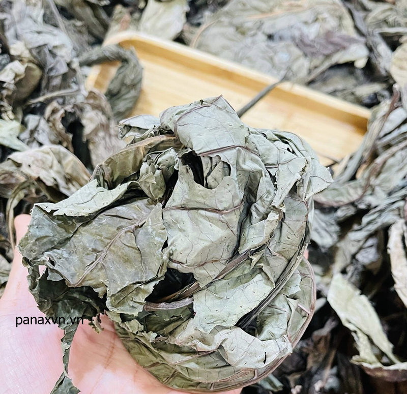 lá khôi nhung khô