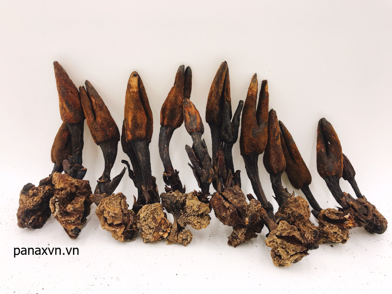 Nấm Ngọc Cẩu Khô Mù Cang Chải