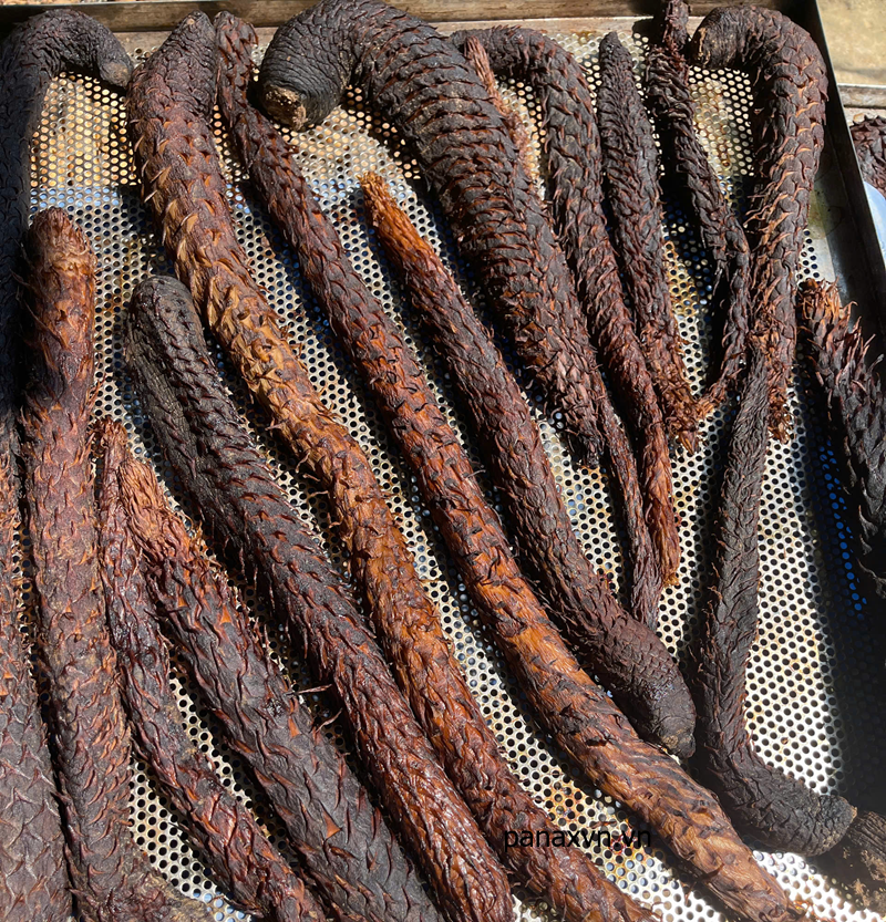 nhục thung dung khô