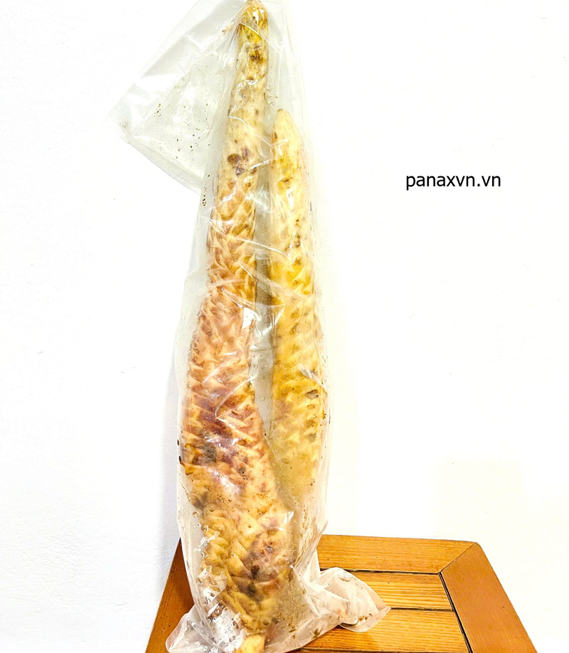 củ nhục thung dung tươi