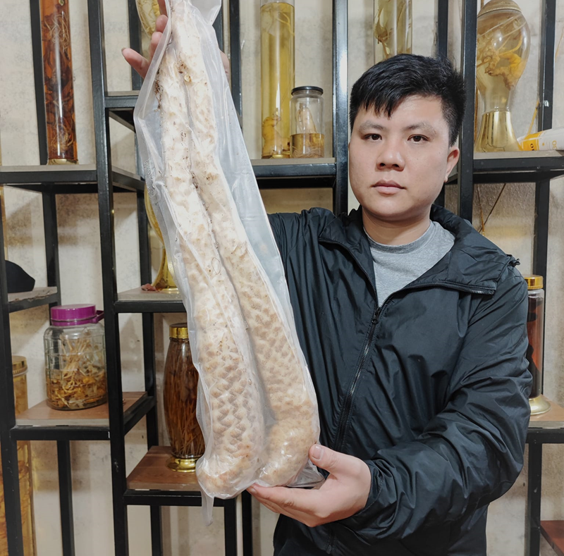 Nhục Thung Dung Tươi