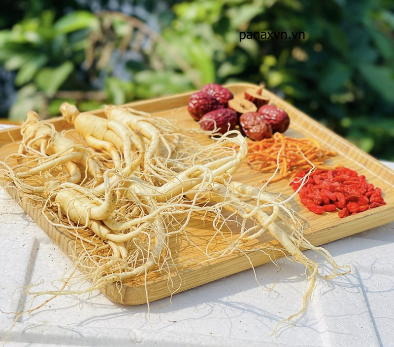 set sâm trường bạch hầm tần