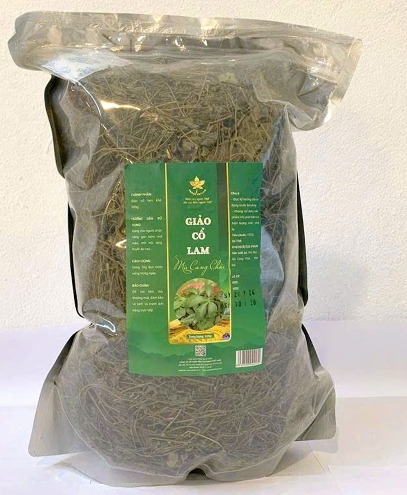 Giảo Cổ Lam Mù Cang Chải