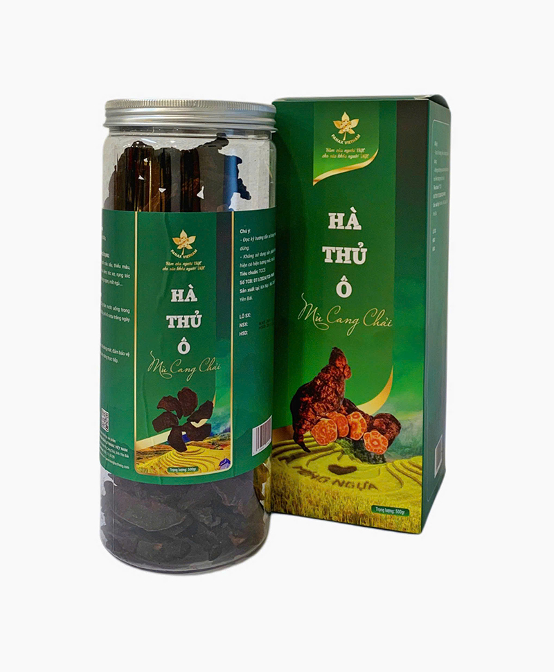 Hà Thủ Ô Mù Cang Chải