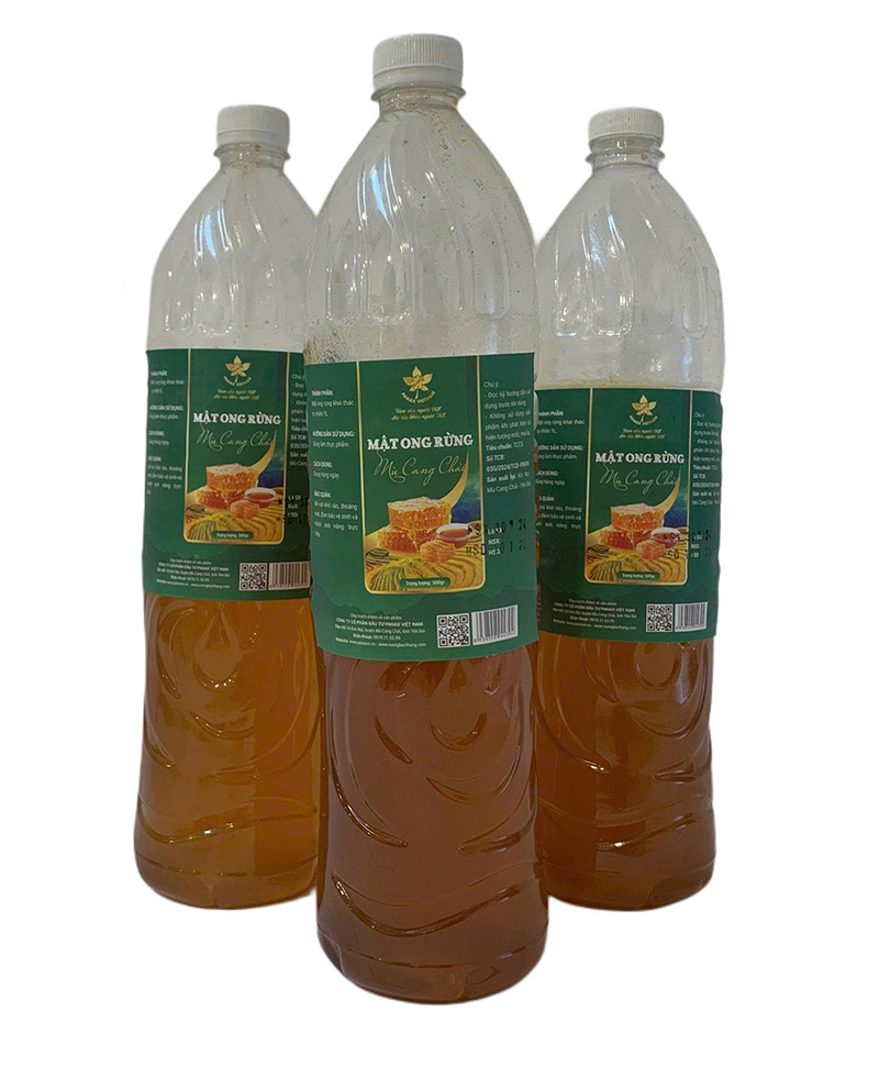 Mật Ong Rừng Mù Cang Chải