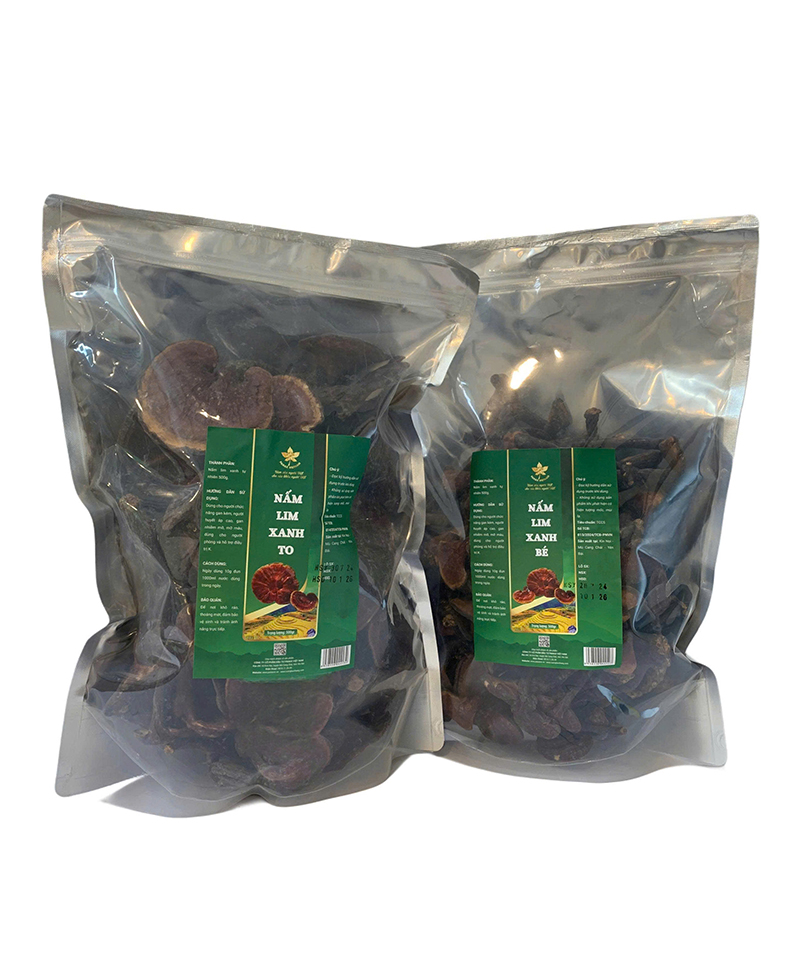 Nấm Lim Xanh