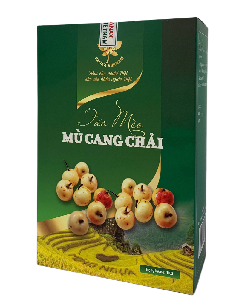 Táo Mèo Mù Cang Chải