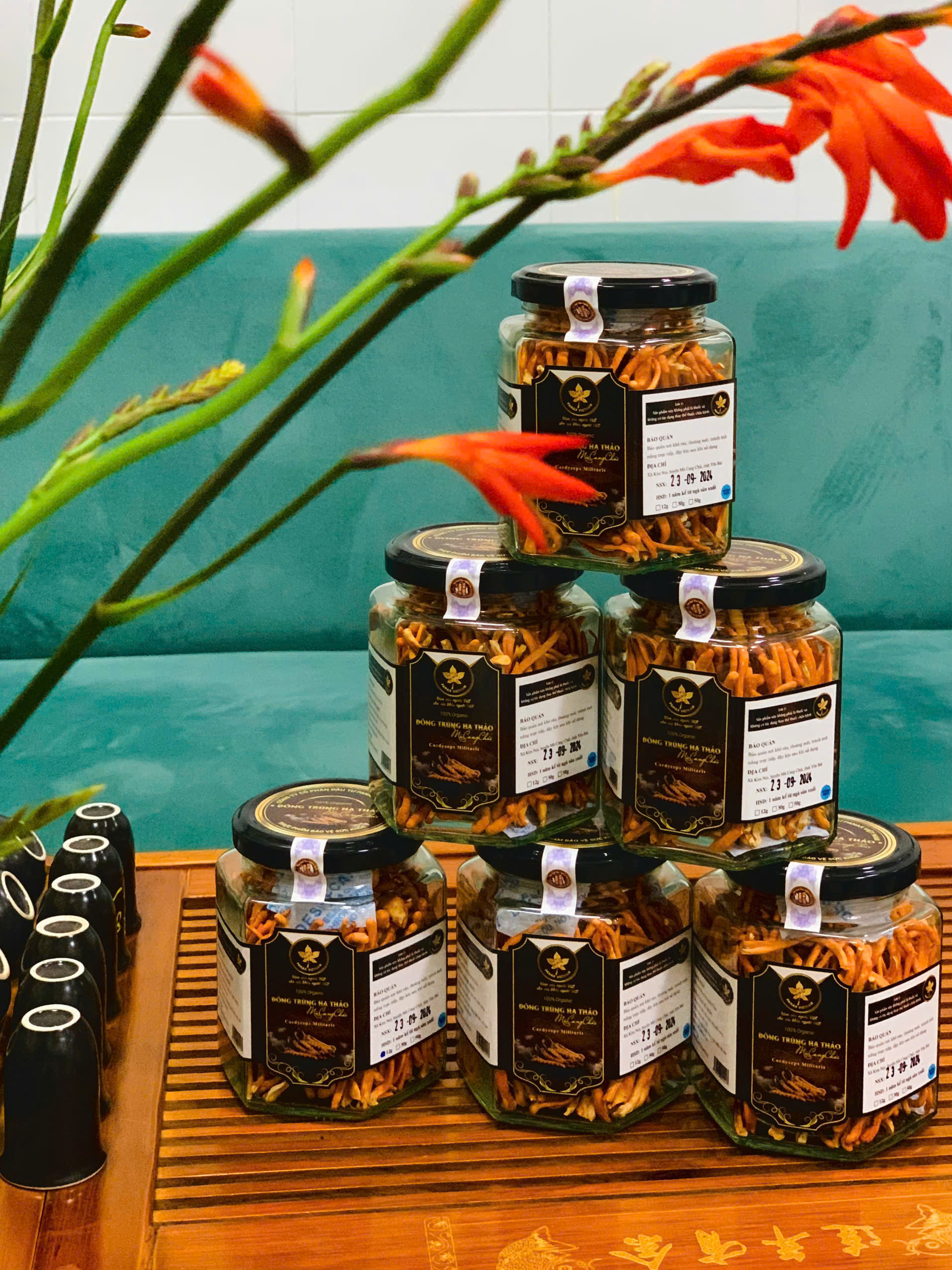 Đông Trùng Hạ Thảo Mù Cang Chải