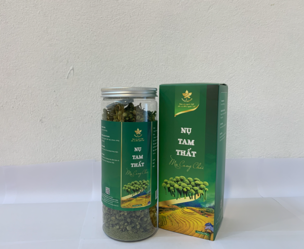 nụ tam thất