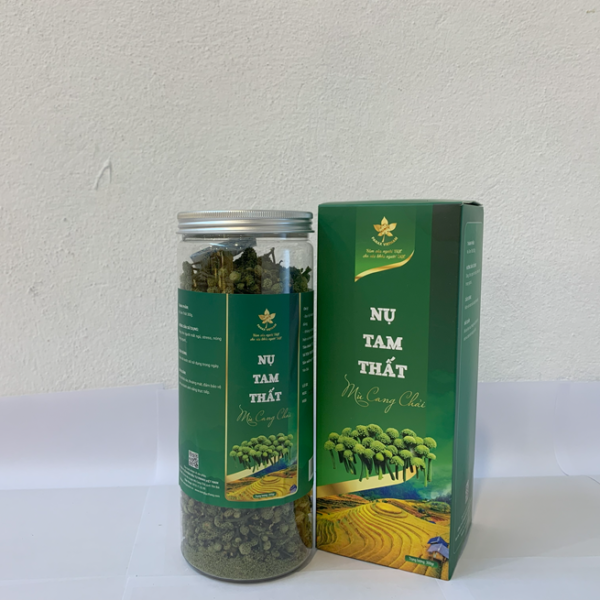 nụ tam thất