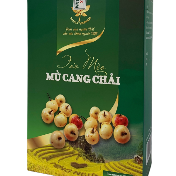 táo mèo mù cang chải