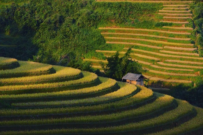 Lạc vào " Vương quốc ruộng bậc thang Tây Bắc " tại Xã La Pán Tẩn - Yên Bái 11 kham pha xa la pan tan 15