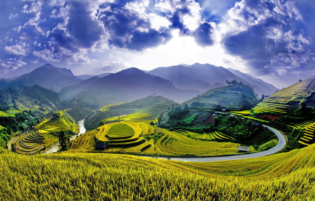 Ruộng bậc thang Chế Cu Nha - Nét đẹp độc đáo của núi rừng Tây Bắc 16 ruong bac thang xa che cu nha dep tuyet sac moi khi mua vang go cua 05 1646108309