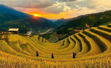 Khám phá Đồi Móng Ngựa - Trải nghiệm không gian thiên nhiên tuyệt đẹp tại Mù Cang Chải 18 th