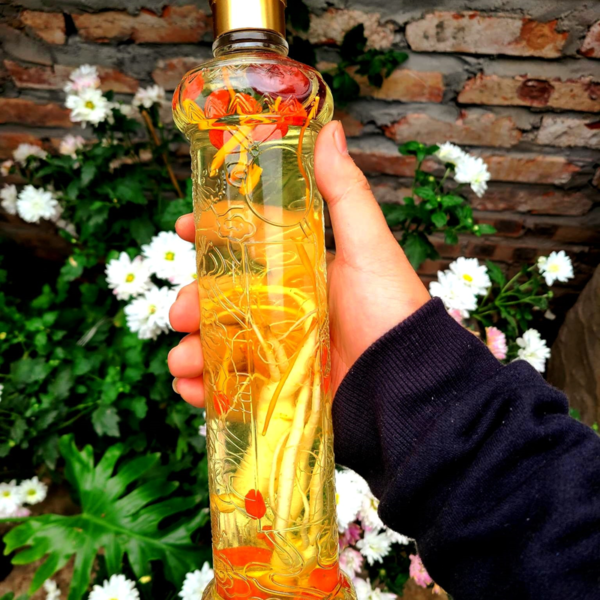 chai rượu nhân sâm 500ml