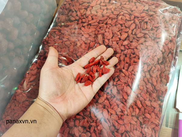 nguyên kiện kỳ tử ninh ạ