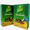Nấm Ngọc Cẩu Mù Cang Chải 13 nam ngoc cau mu cang chai 2