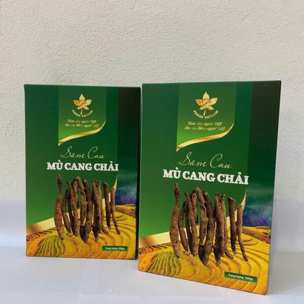 Sâm Cau Mù Cang Chải