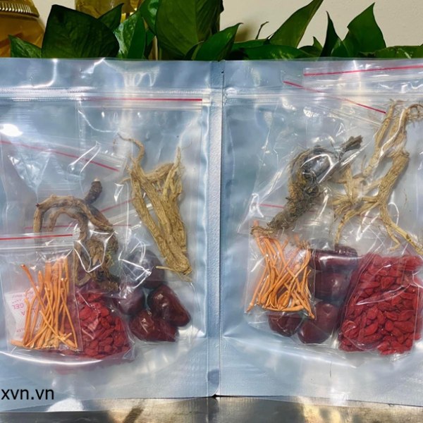 sét hầm panax Việt Nam
