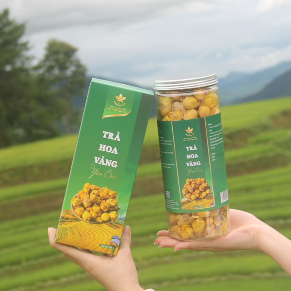 Trà hoa vàng yên bái