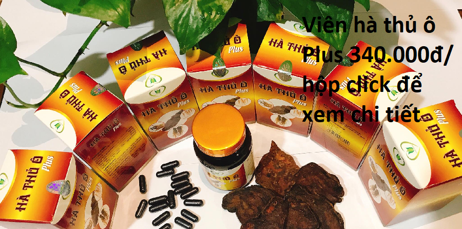 hà thủ ô plus